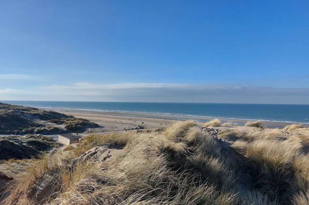 Helmgras op de duinen met de zee bij Oostduinkerke